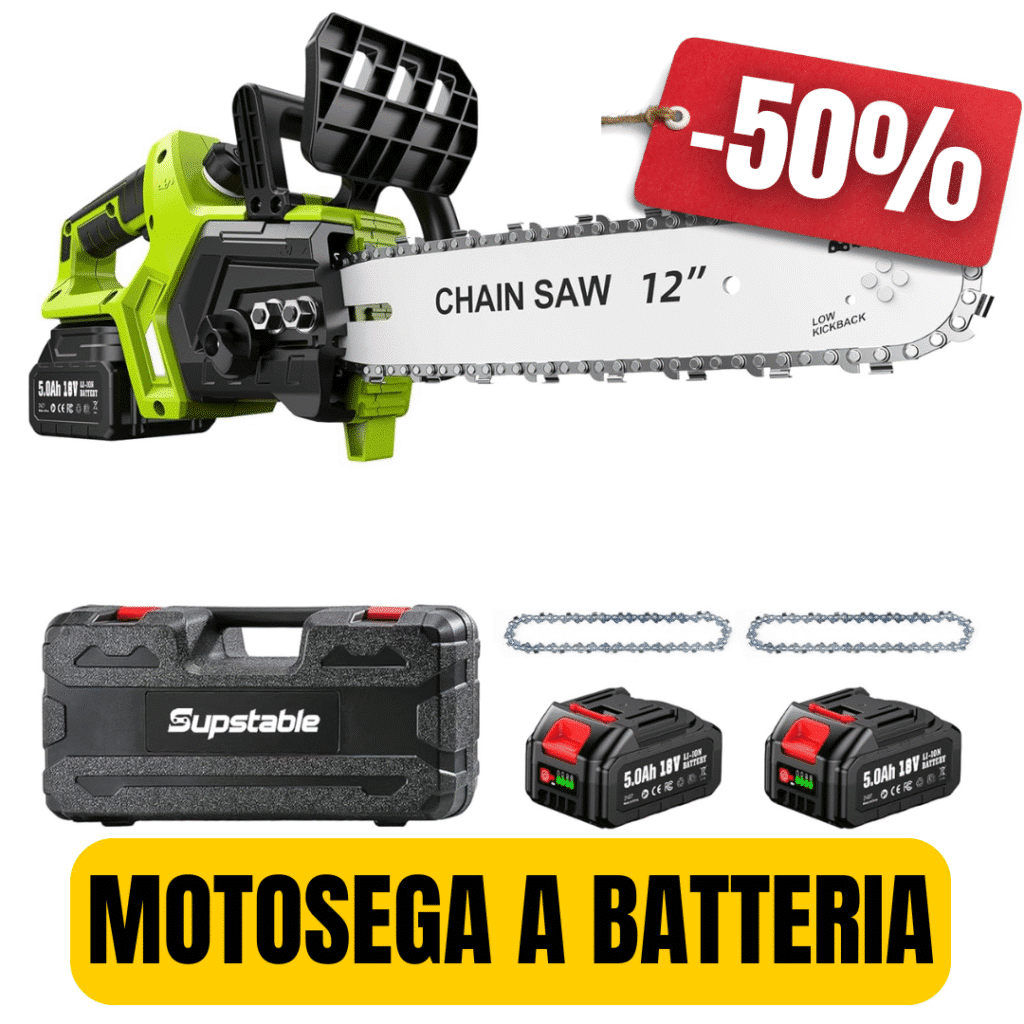 Mini Motosega Elettrica 2 Batterie